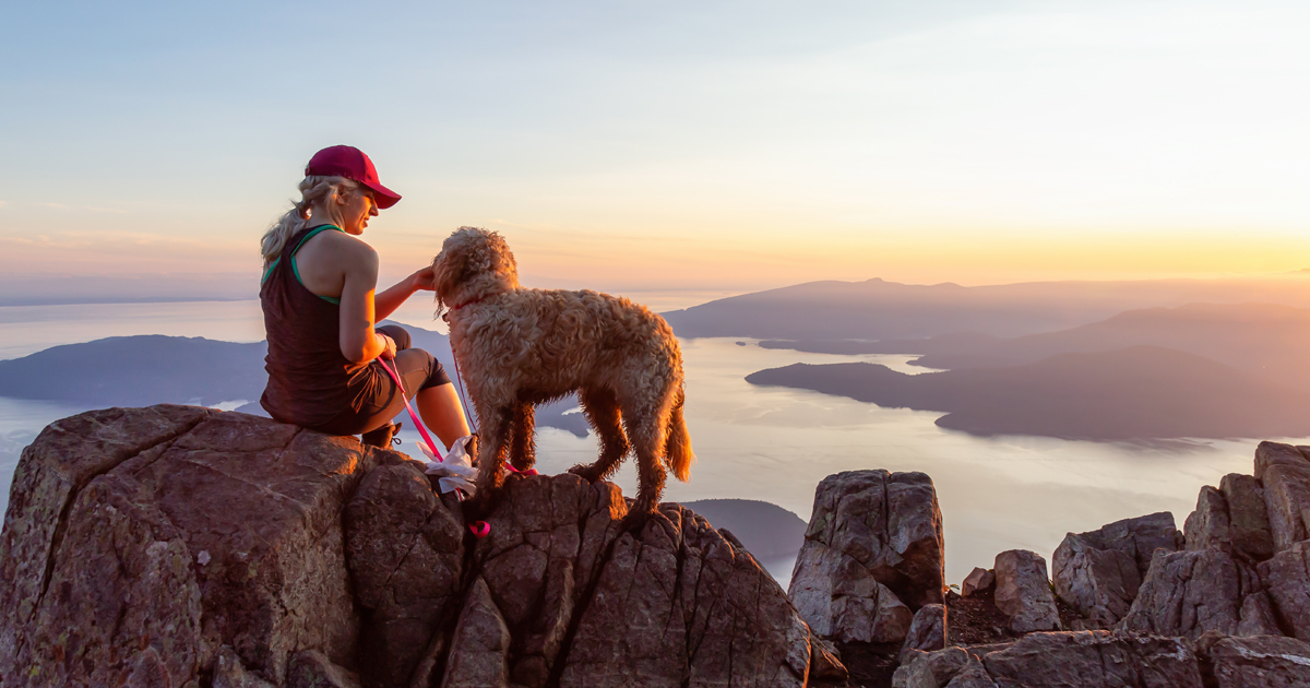 Board and governance practices